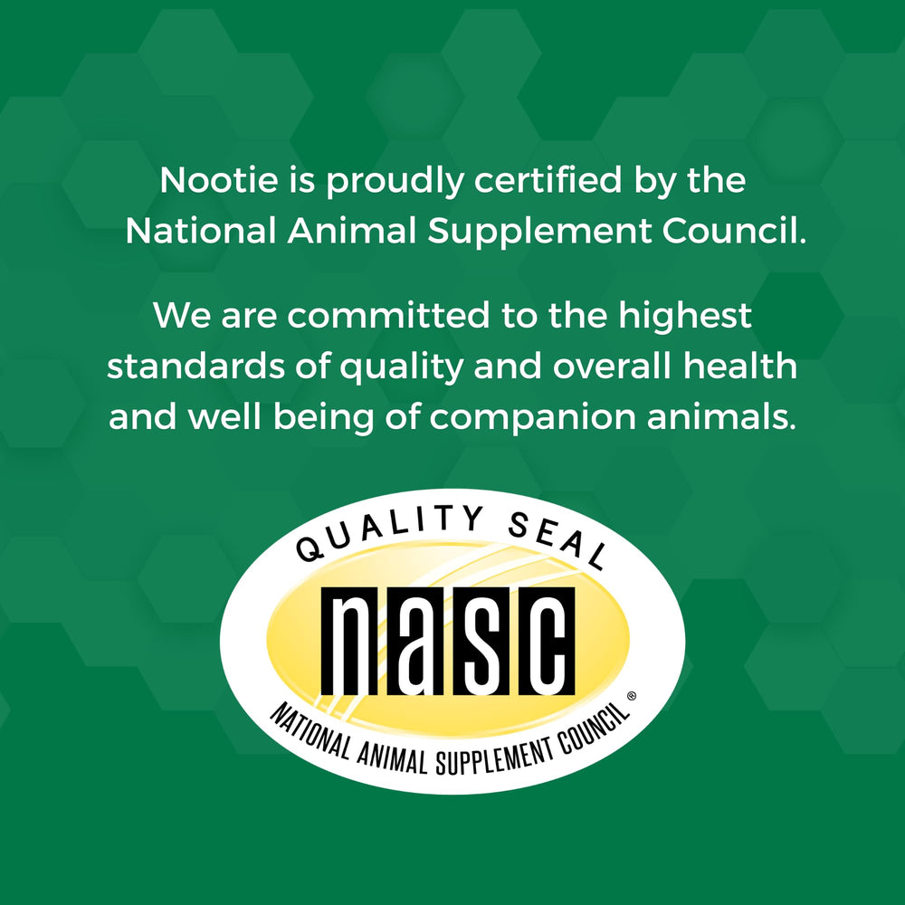 Nootie Progility Mini supplement shown being given to a dog.