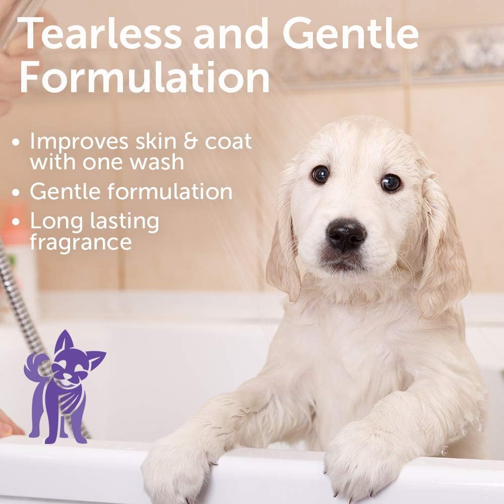 Nootie puppy shampoo with focus on its product label.
