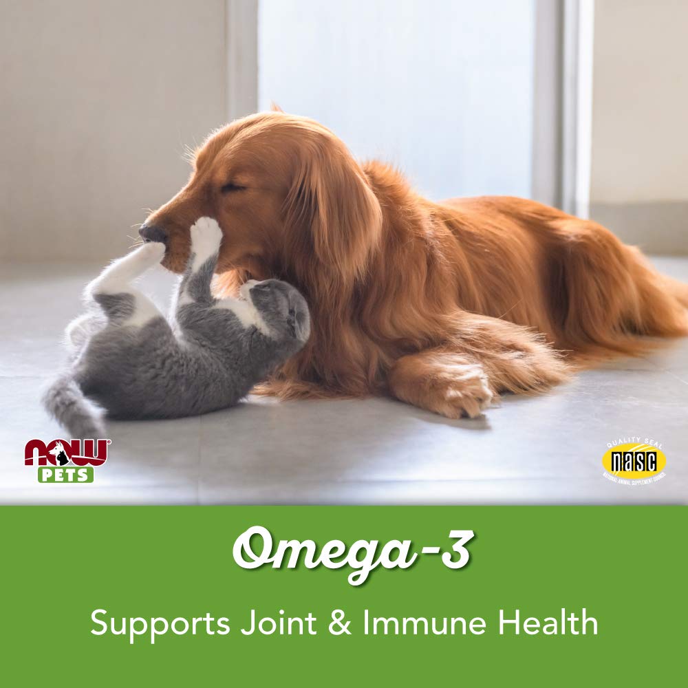 NOW Pet Health Omega 3 Supplement softgels shown as the product format.