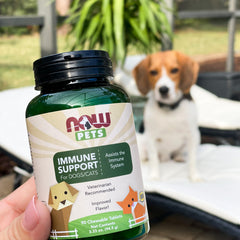 NOW Pets Immune Support chewable tablet shown in close-up.