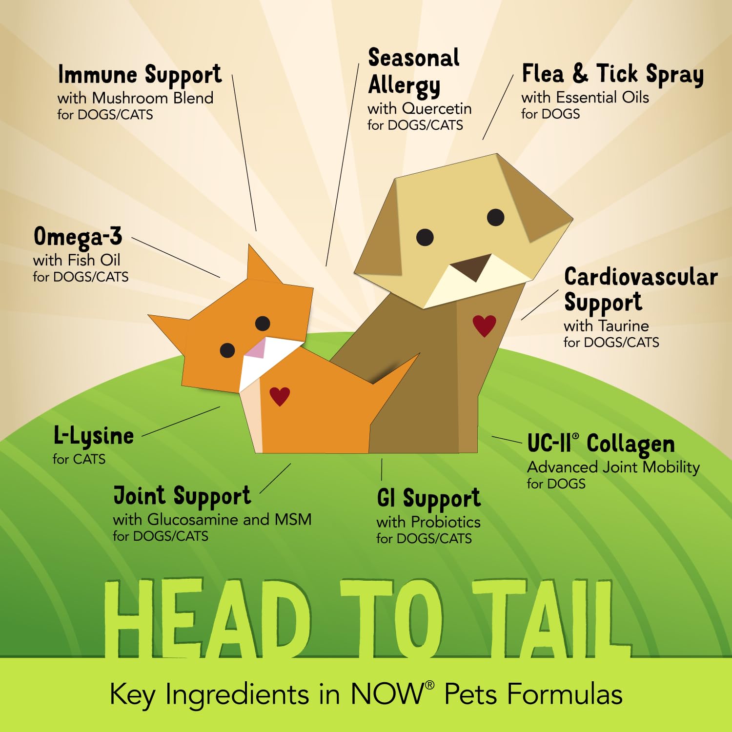 NOW Pets Immune Support packaging shown with chewable tablets.