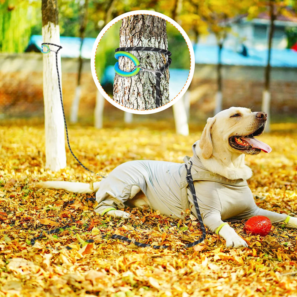 NTR 30FT training leash with reflective thread visible along the rope.