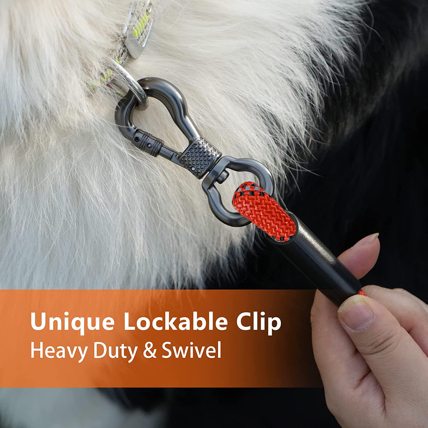 NTR 30FT training leash showing the swivel hooks at both ends.