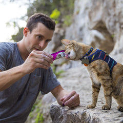 Nulo lickable cat treats shown as a multipack of tubes.