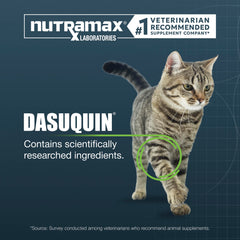 Nutramax Dasuquin cat joint supplement being offered to a cat.