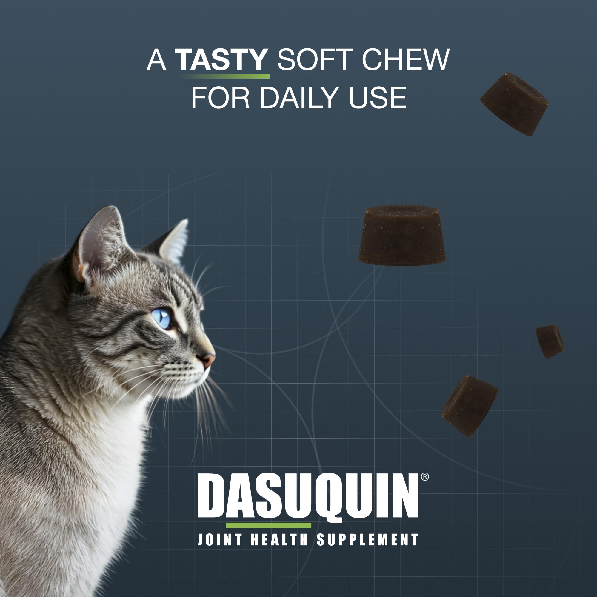 Nutramax Dasuquin cat joint supplement ingredient focus on glucosamine and chondroitin.