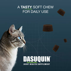 Nutramax Dasuquin cat joint supplement ingredient focus on glucosamine and chondroitin.