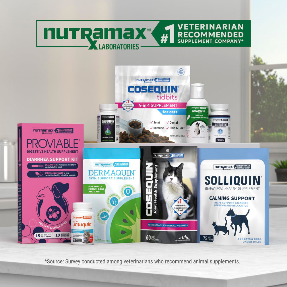 Nutramax Dasuquin cat joint supplement ingredient information shown on its label.