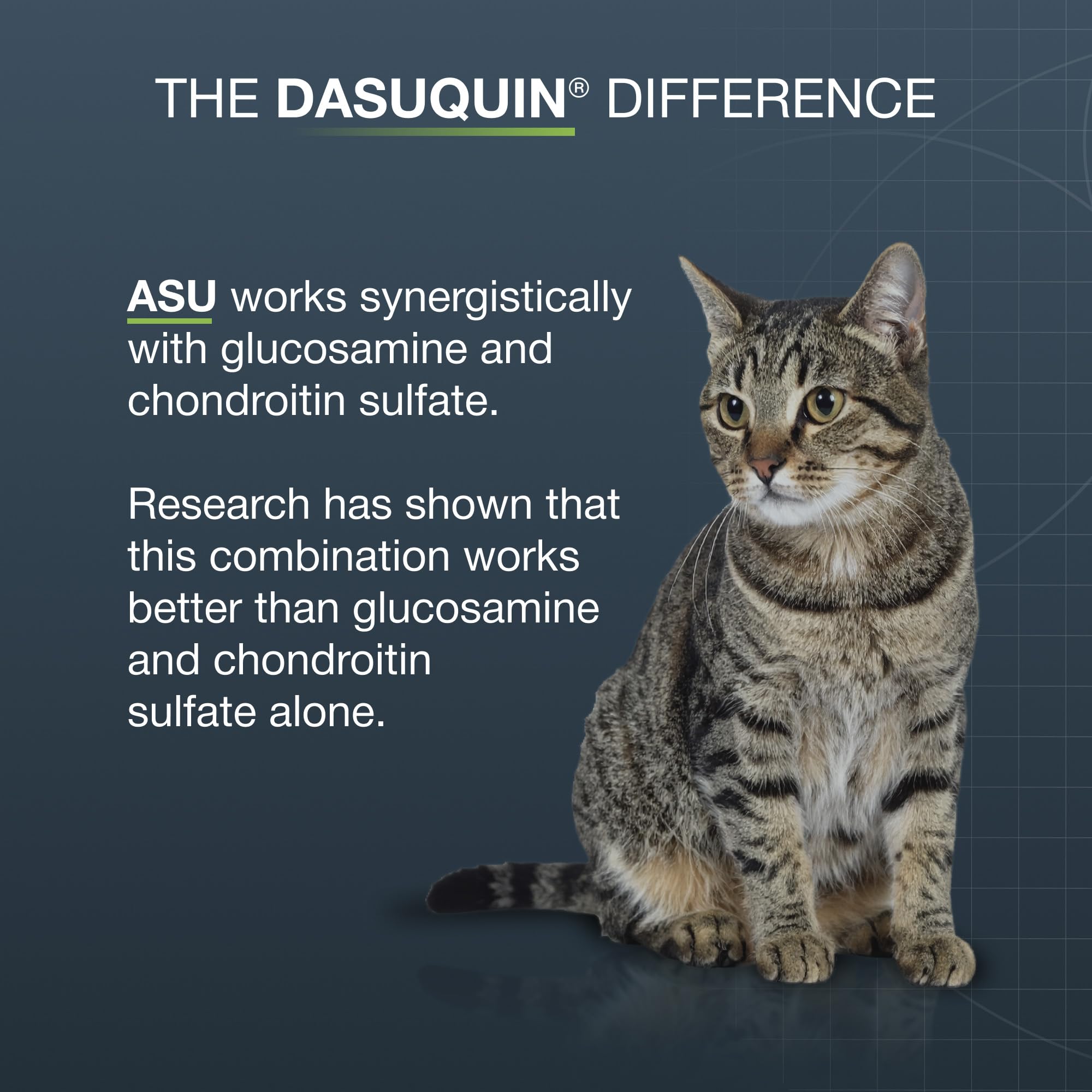 Nutramax Dasuquin cat joint supplement ingredient focus on omega-3 fatty acids.