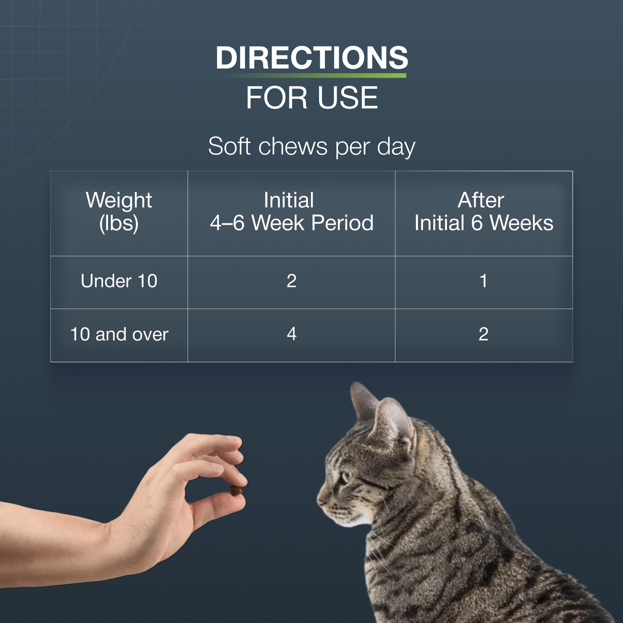 Nutramax Dasuquin cat joint supplement shown from an alternate angle.