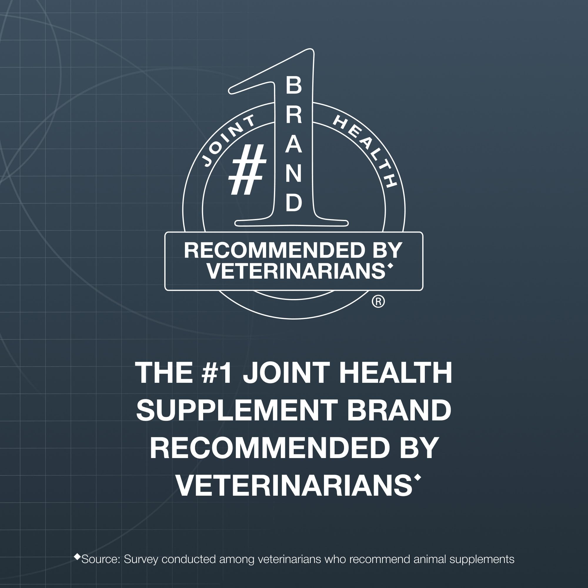 Nutramax Dasuquin cat joint supplement soft chew shown close up.