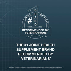 Nutramax Dasuquin cat joint supplement soft chew shown close up.