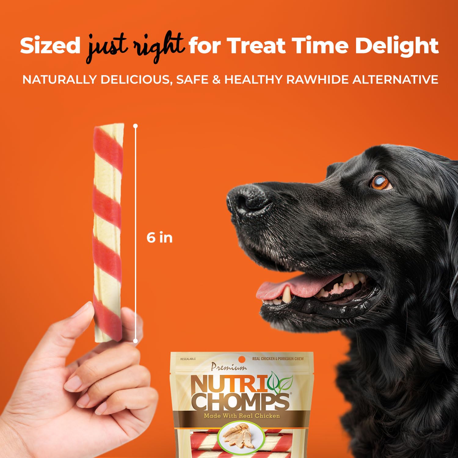 Nutri Chomps dog chew shown as a dog enjoys a chew.