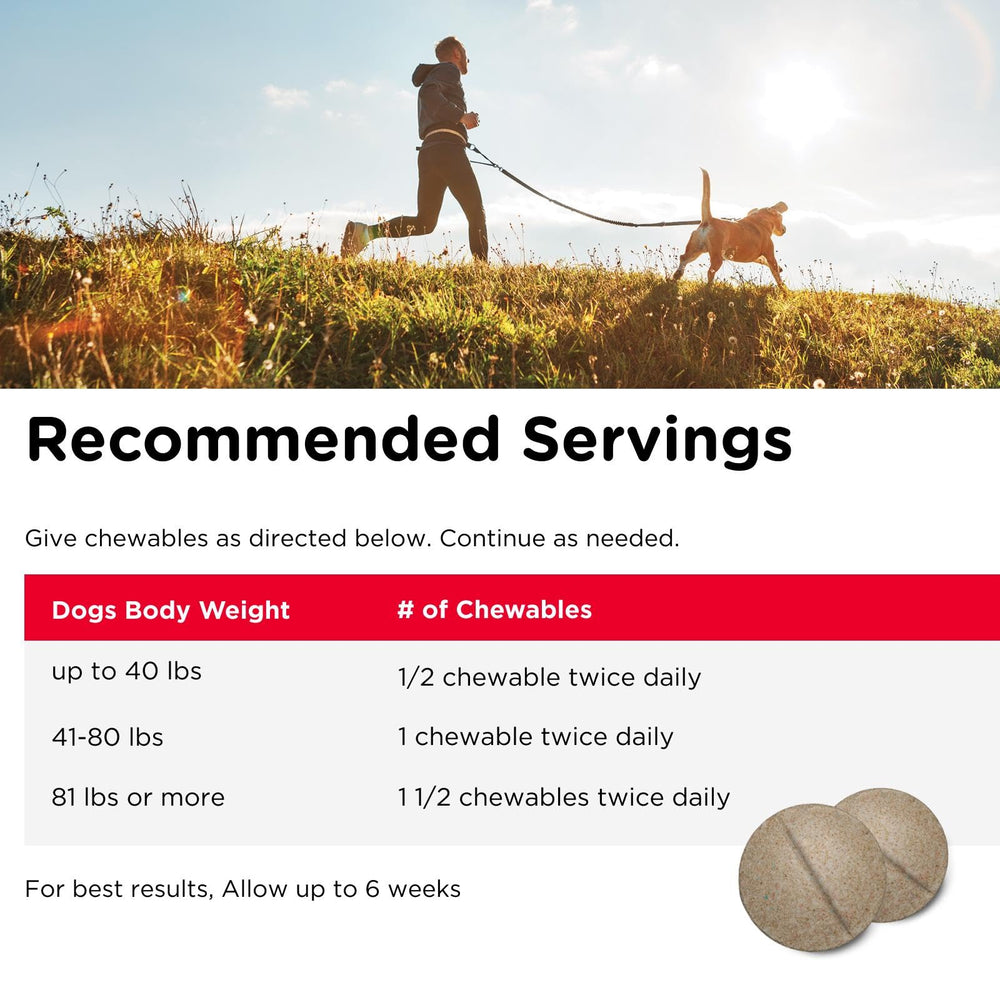 Nutri-Vet Hip & Joint Dog Supplement shown as a dog’s joint-care supplement.