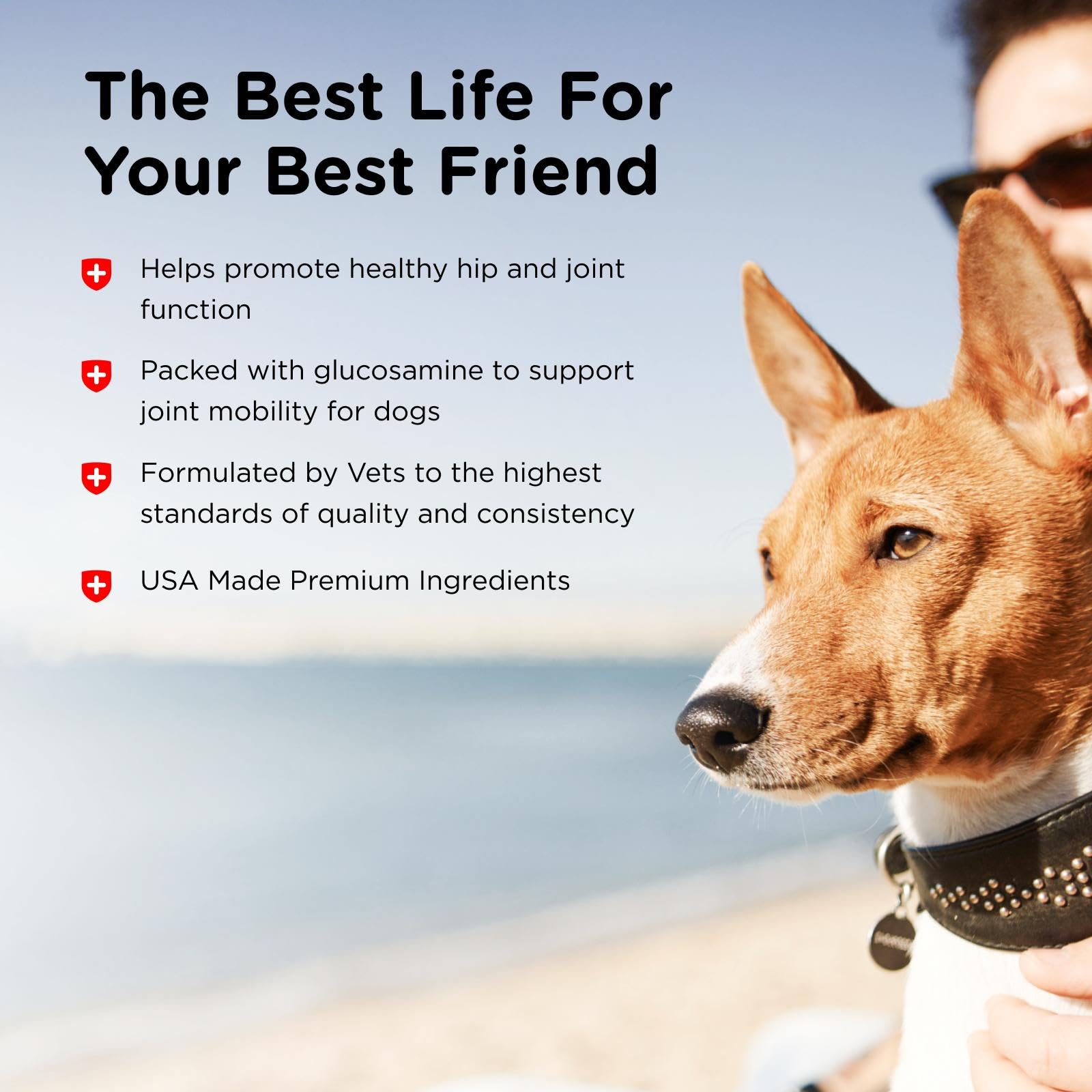 Nutri-Vet Hip & Joint Dog Supplement ingredient panel and formula details.