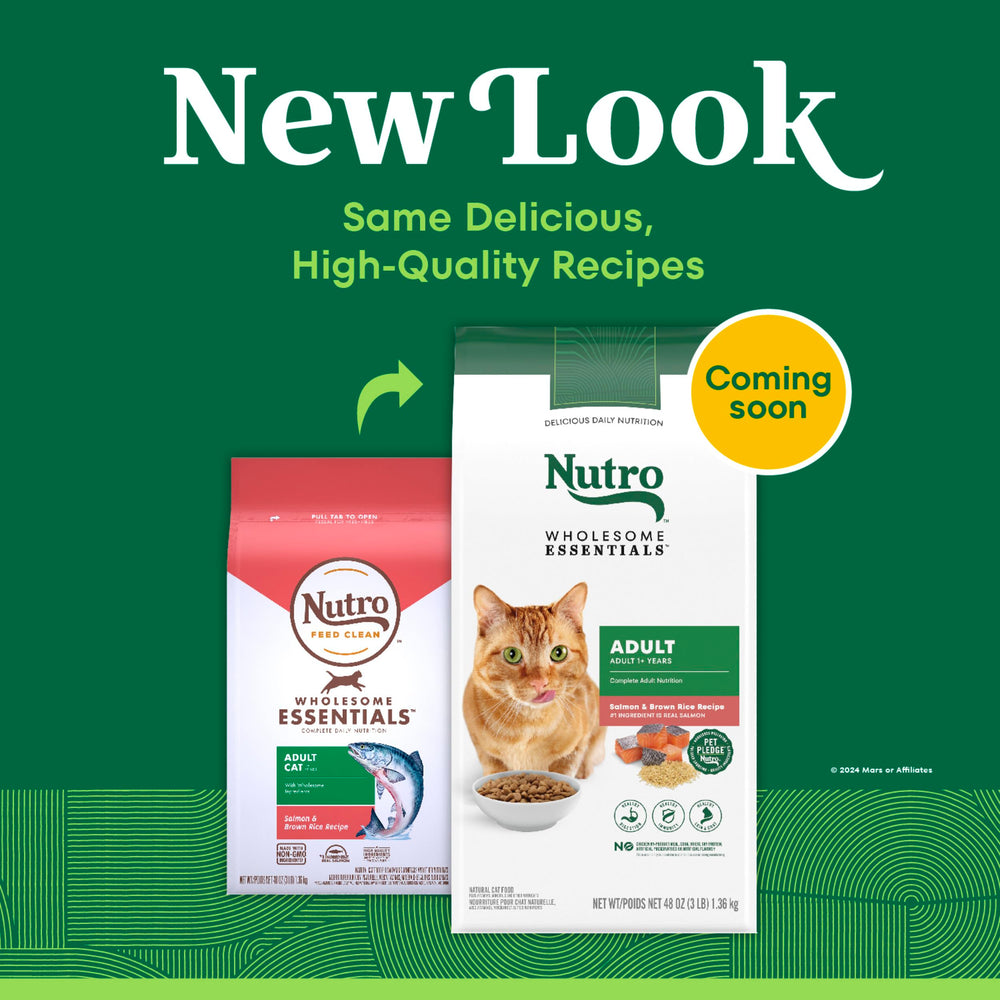 Nutro adult salmon and brown rice dry cat food package shown from the back.