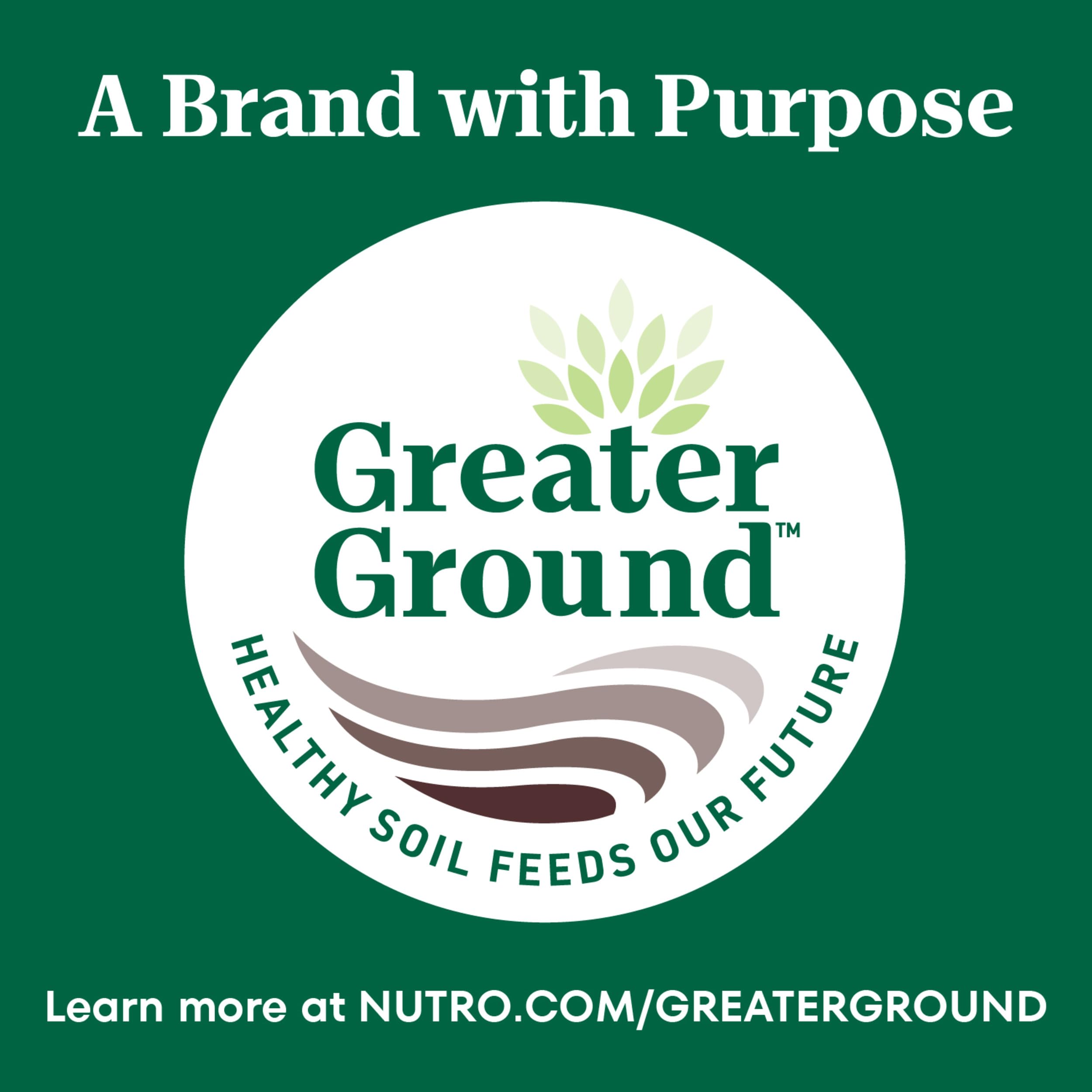 Nutro adult salmon and brown rice dry cat food package shown from below.