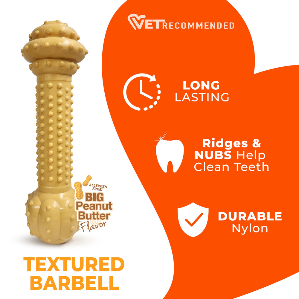 Nylabone Power Chew Textured Barbell Dog Chew Toy showing raised nubs on the chew surface.