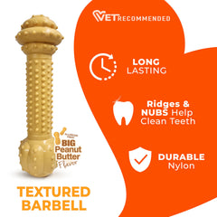 Nylabone Power Chew Textured Barbell Dog Chew Toy showing raised nubs on the chew surface.