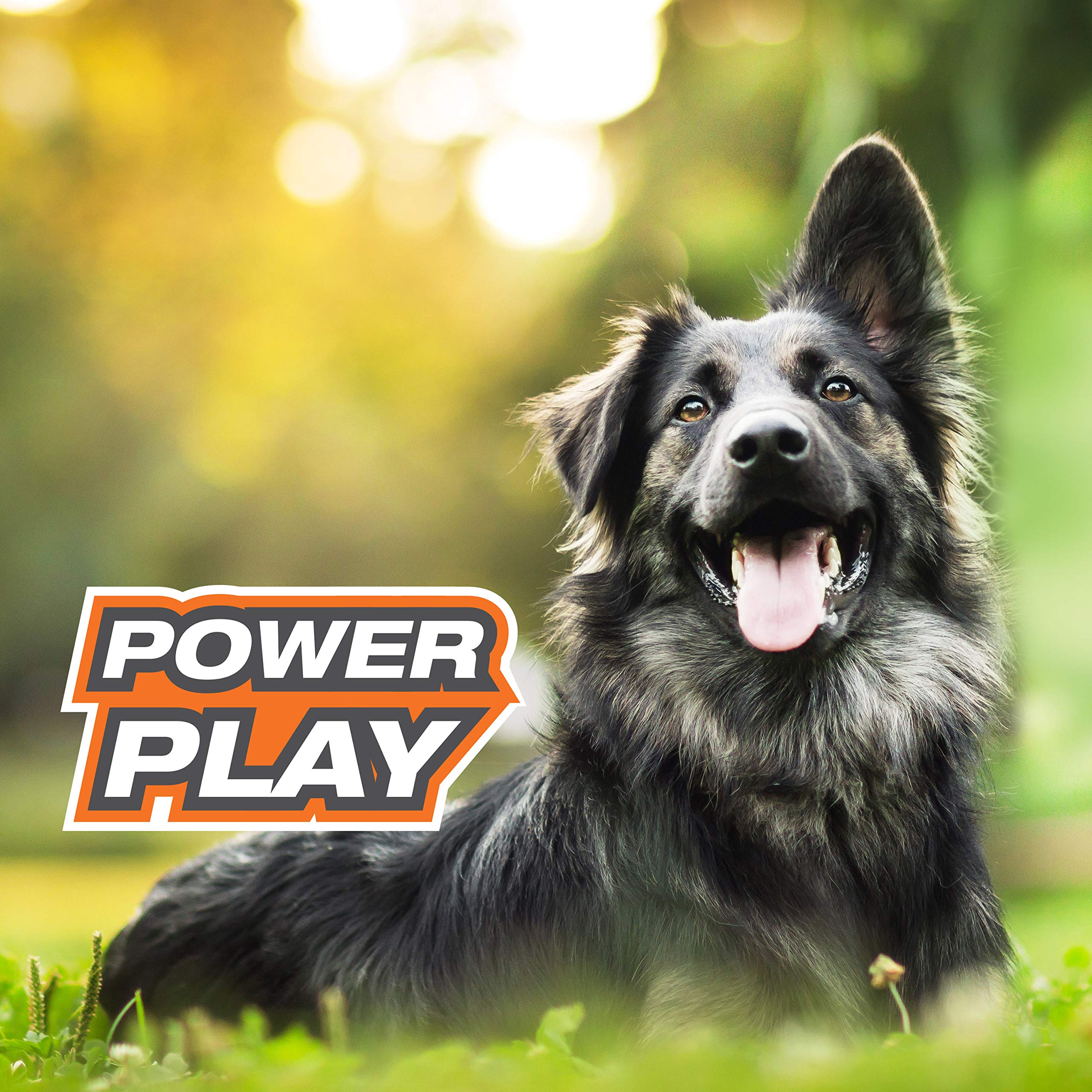 Nylabone Power Play Basketball Gripz dog toy shown rolling during play.