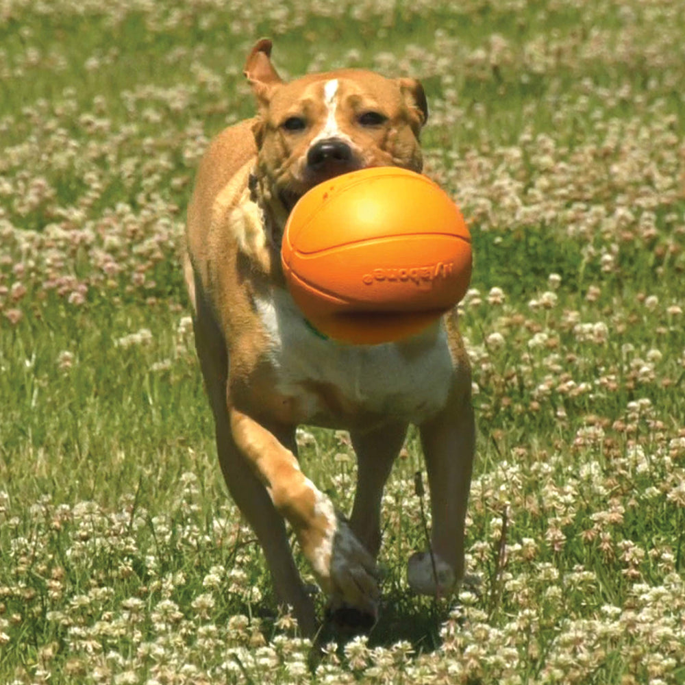 Nylabone Power Play Basketball Gripz dog toy showing its rubber surface.