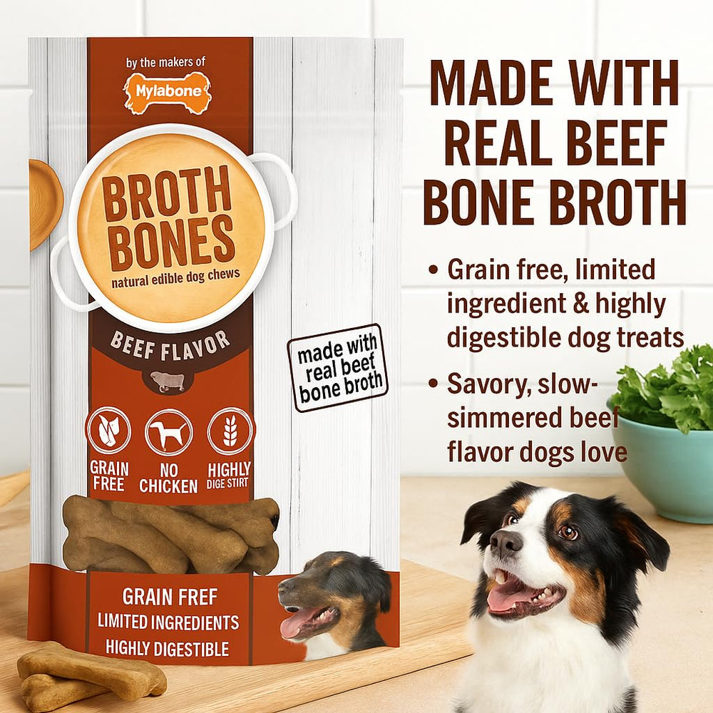Nylabone Beef Broth Bones dog treat shown close up to highlight its chew form.