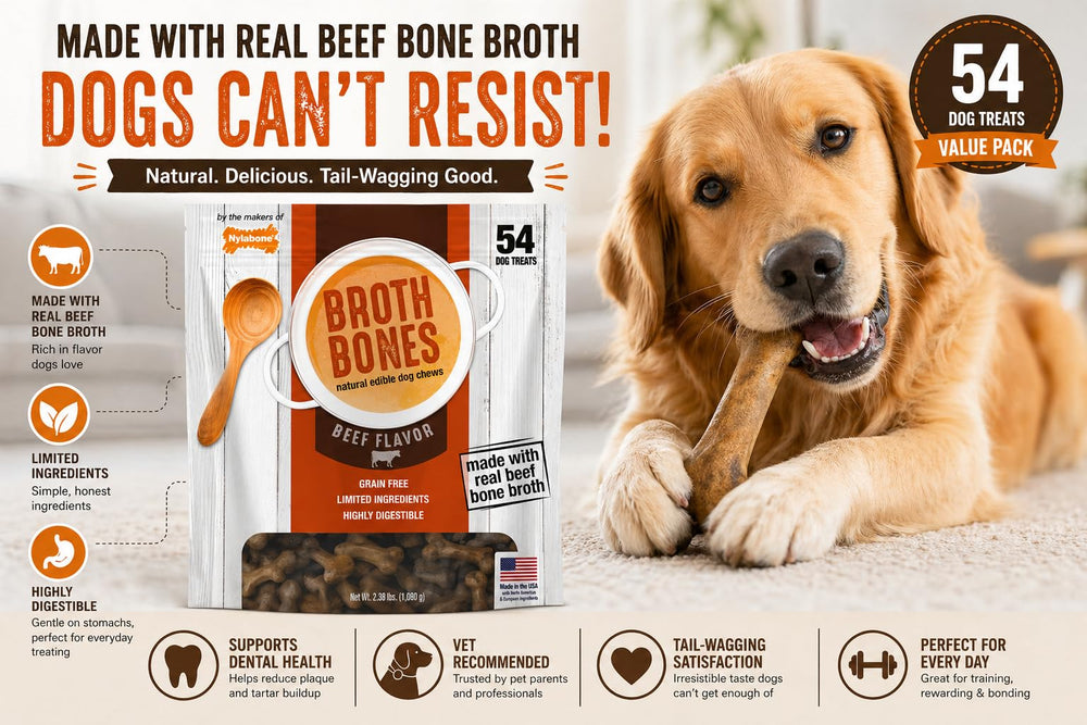 Nylabone Beef Broth Bones dog treats shown with their grain-free recipe callout.