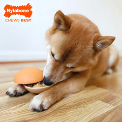 Nylabone Strong Chew Bun Treat Toy shown at an angle to reveal its cheeseburger shape.