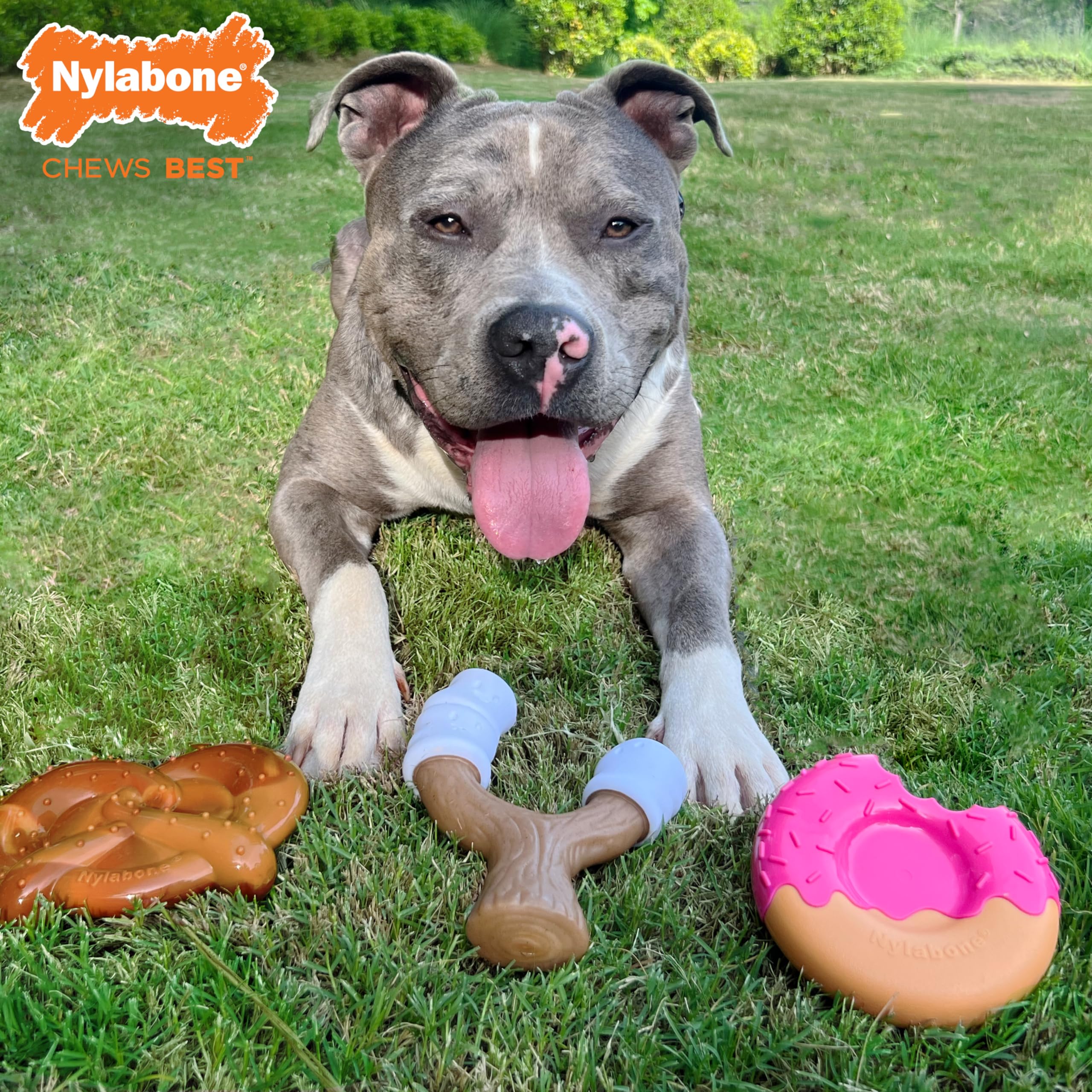 Nylabone Strong Chew Cute Dog Toy Bundle showing its three different shapes.