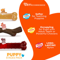 Nylabone Puppy Stages Pack chicken-flavored chew with its softer material.