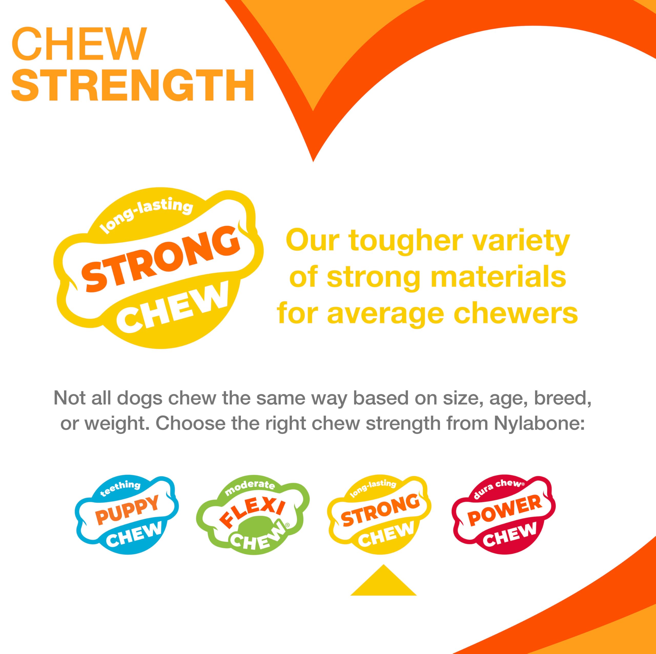 Nylabone Double Action Bone chew toy shown from a side angle.