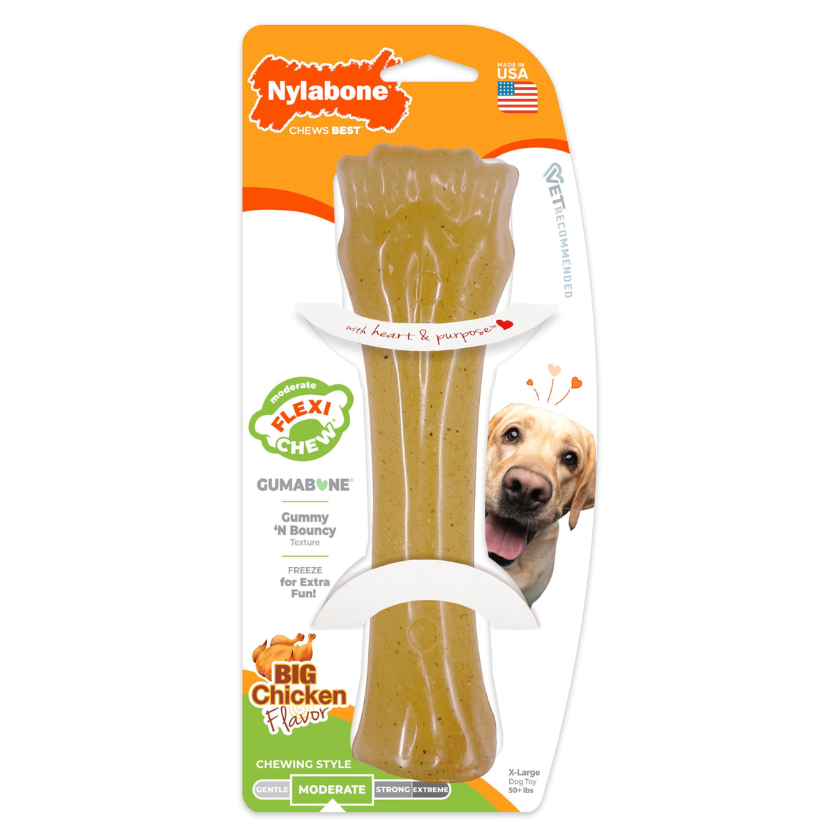 Nylabone Flexi Chew Gumabone shown from the front.
