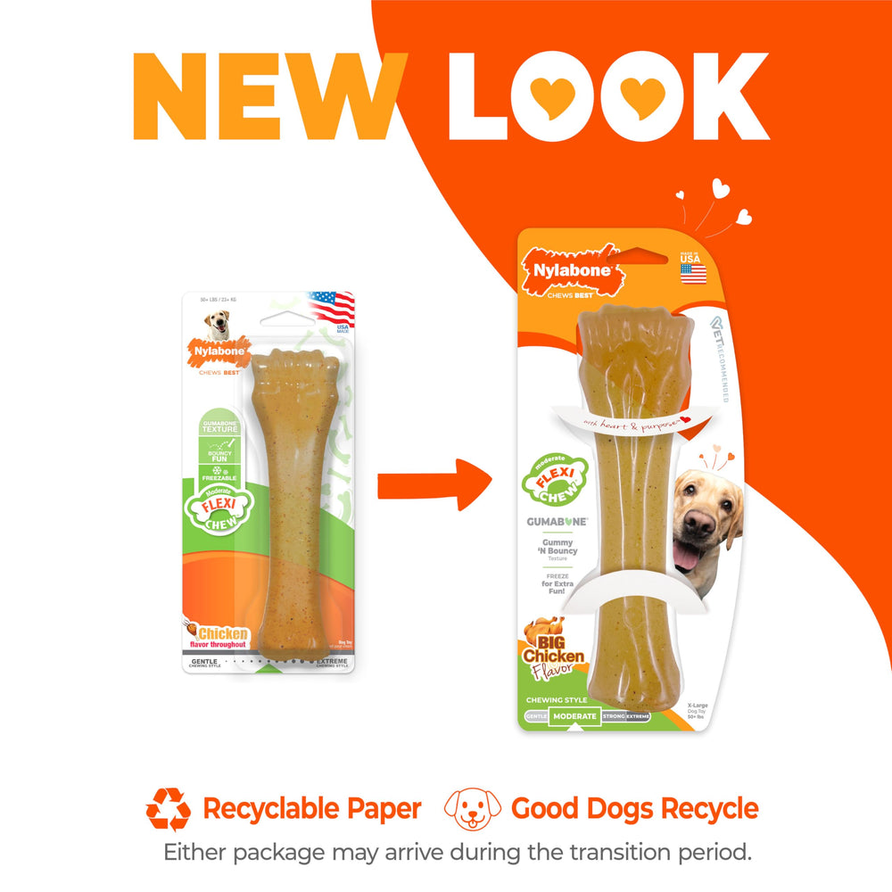 Nylabone Flexi Chew Gumabone with its distinctive knuckle-bone shape.