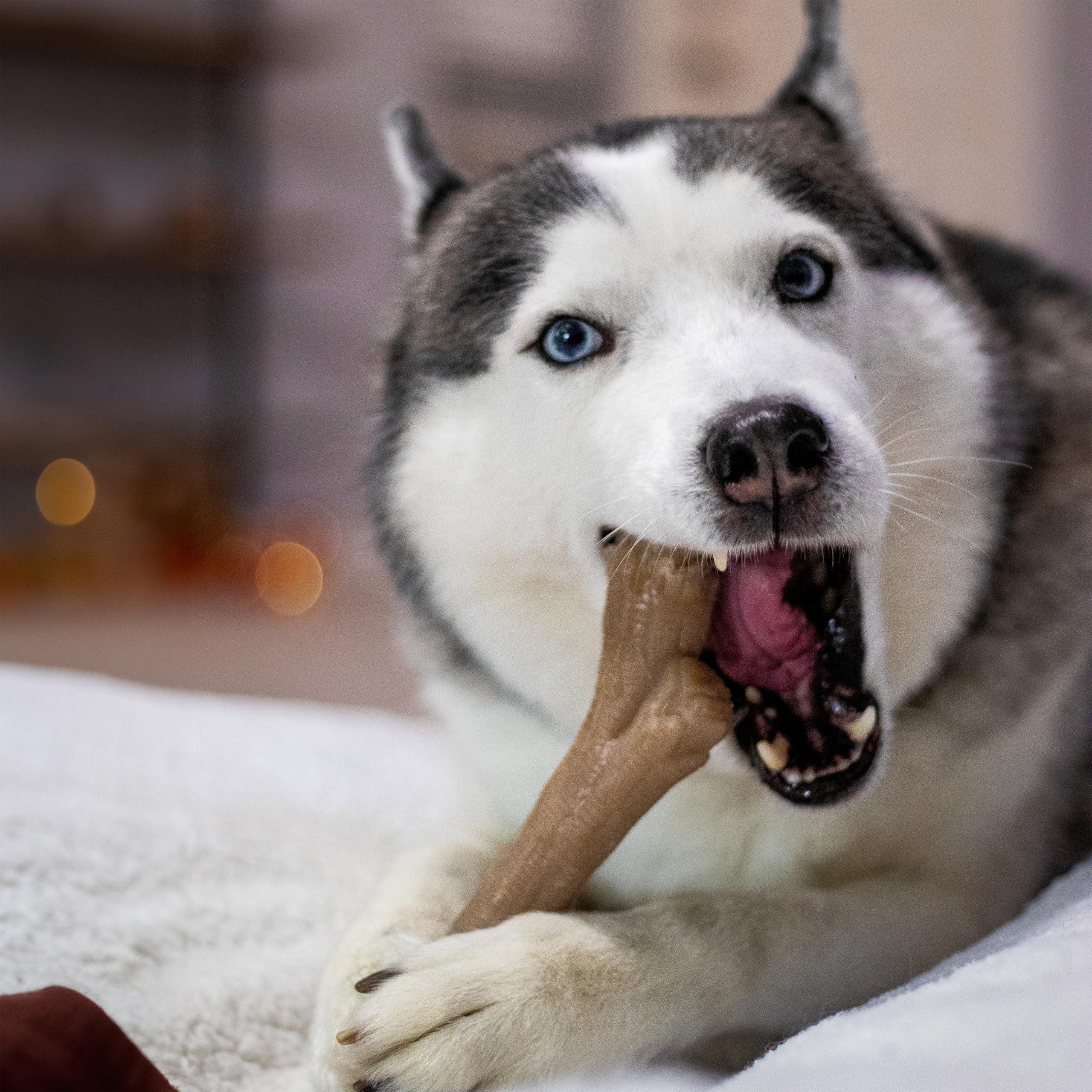 Nylabone Gourmet Style Stick chew toy shown in Souper size.