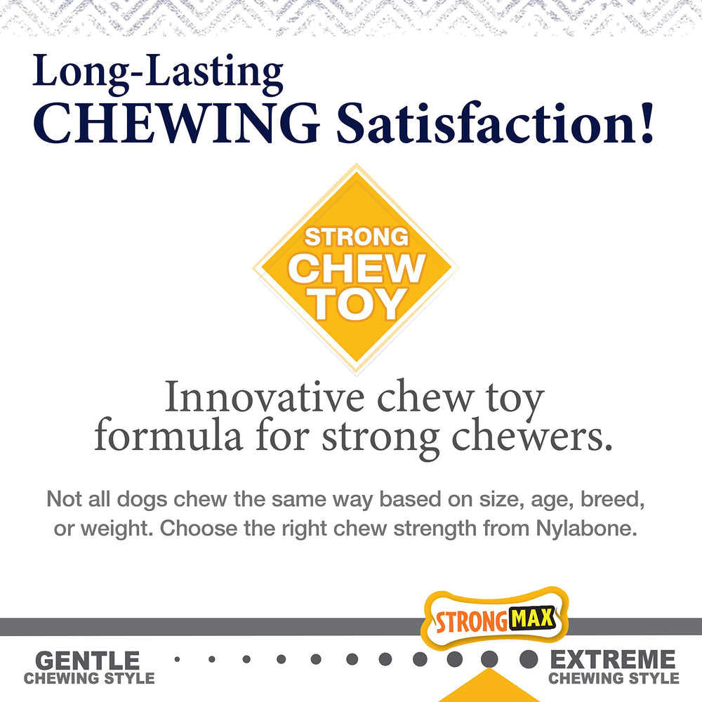 Nylabone Gourmet Style Stick chew toy with its USA-made label in view.