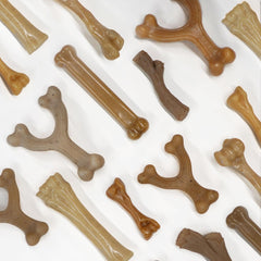 Nylabone Gourmet Style dog chew toys with their bone-shaped design.