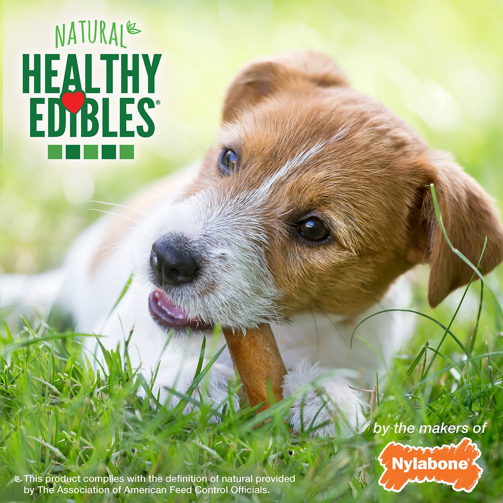 Nylabone Healthy Edibles dog chew packaging showing the Small Size Wolf option.