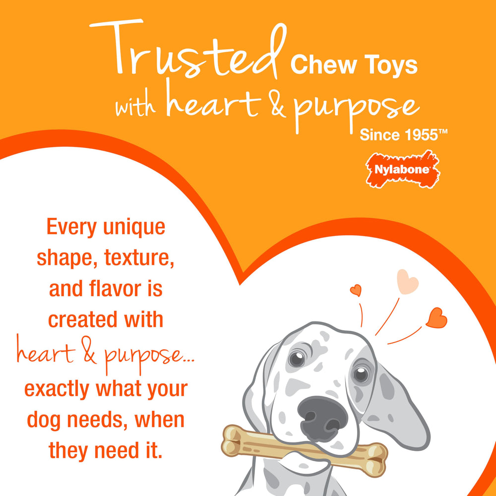 Nylabone Healthy Edibles dog chew shown from an alternate angle.