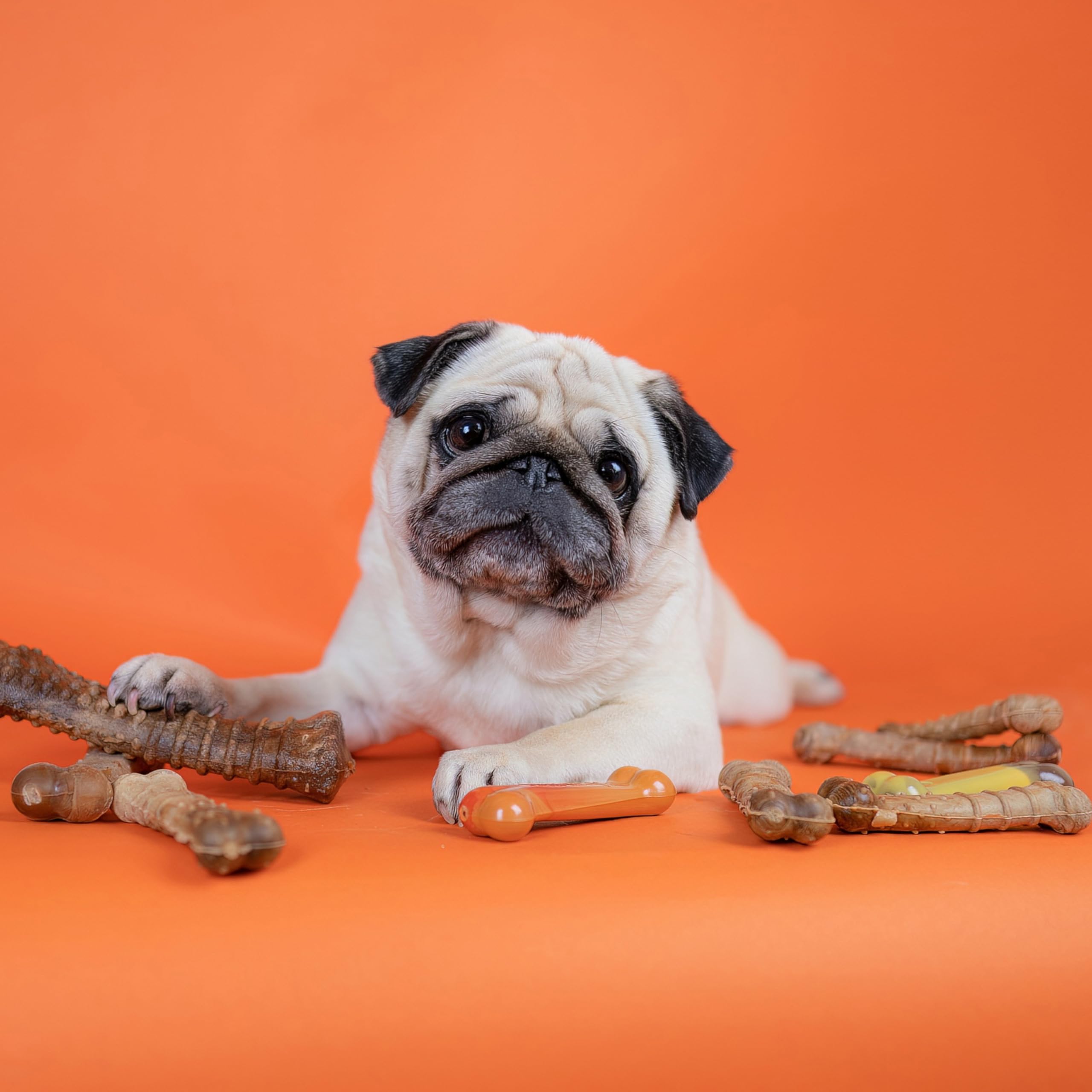 Nylabone Healthy Edibles dog chews package shown from the side.