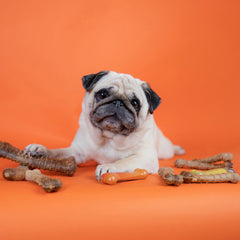 Nylabone Healthy Edibles dog chews package shown from the side.