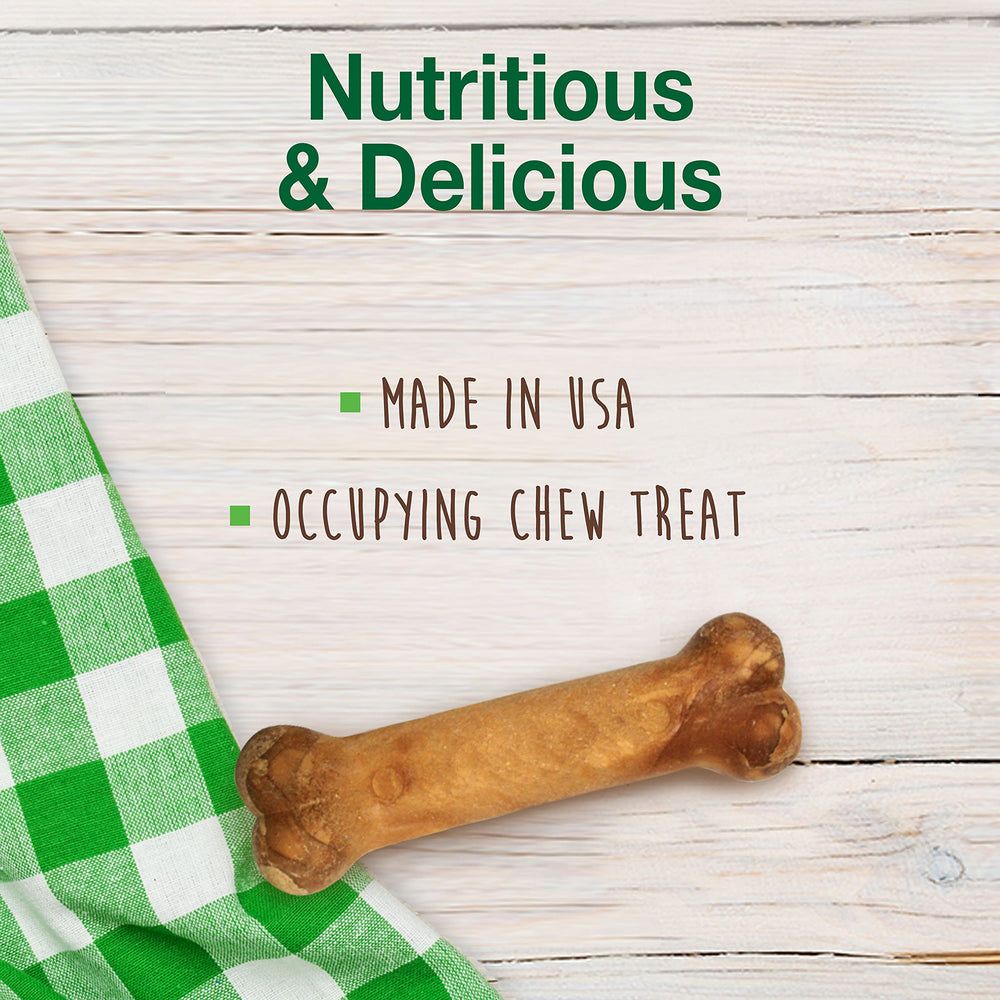 Nylabone Healthy Edibles roast beef flavor dog treat detail.