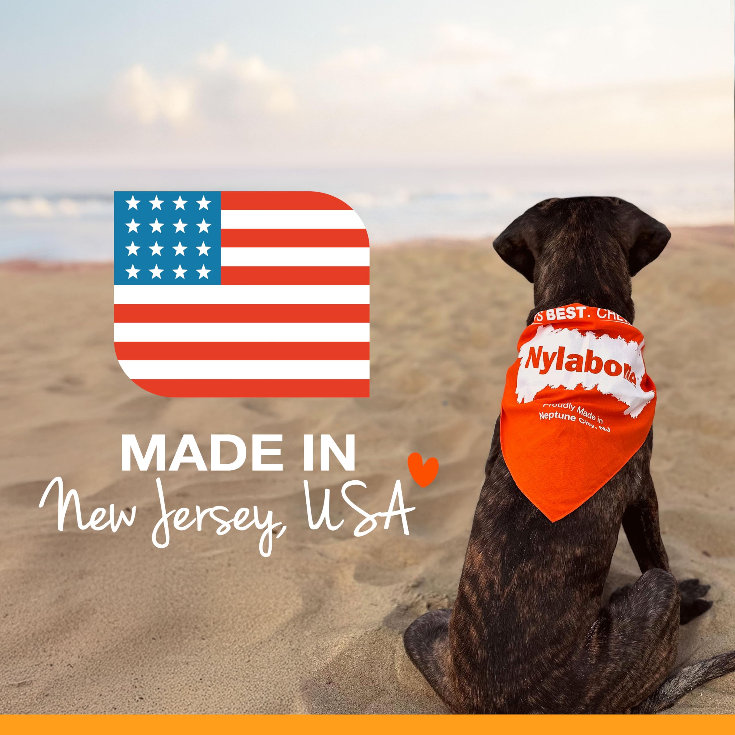 Nylabone Healthy Edibles small dog treats shown for extra-small breeds.