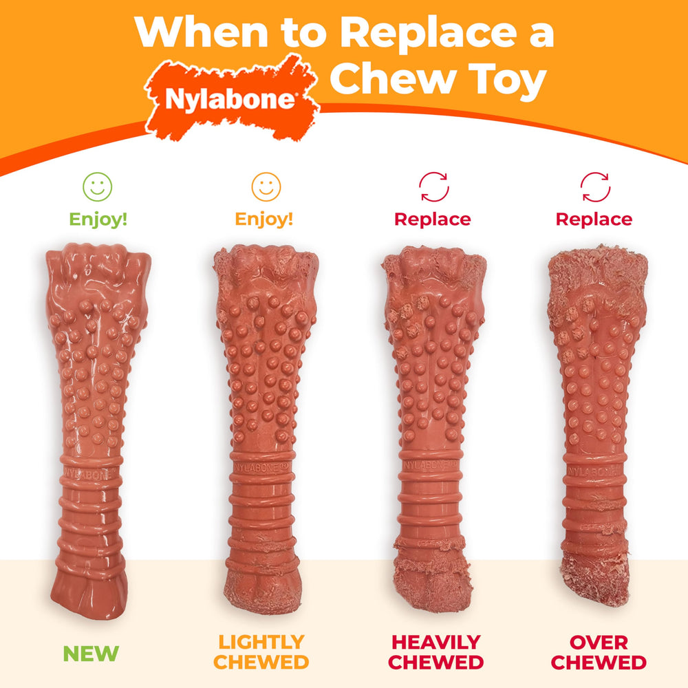 Nylabone Textured Knuckle Bone Power Chew and its product packaging.