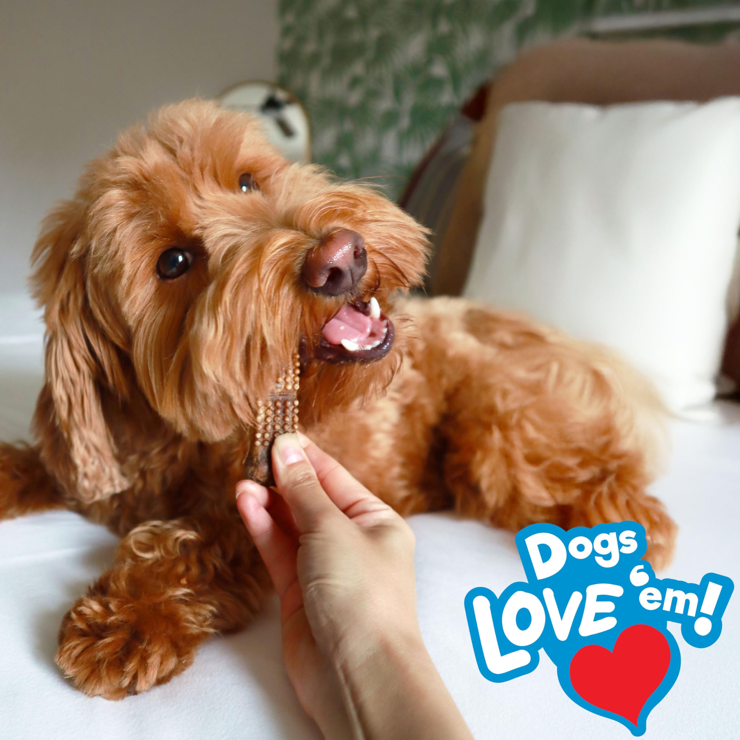 Nylabone Nubz dog treats highlighting their natural ingredients.