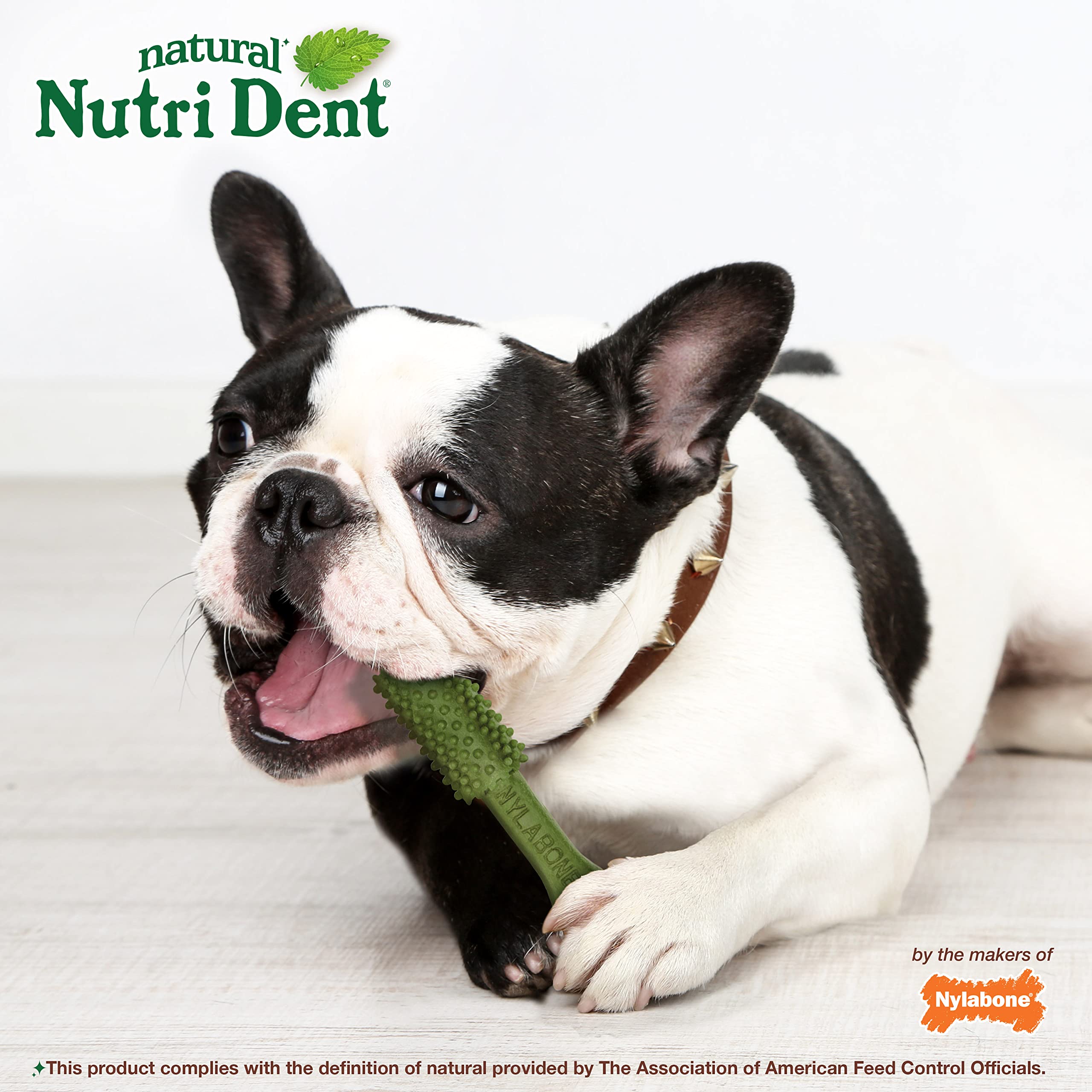 Nylabone Nutri Dent dental chew shown from one end.
