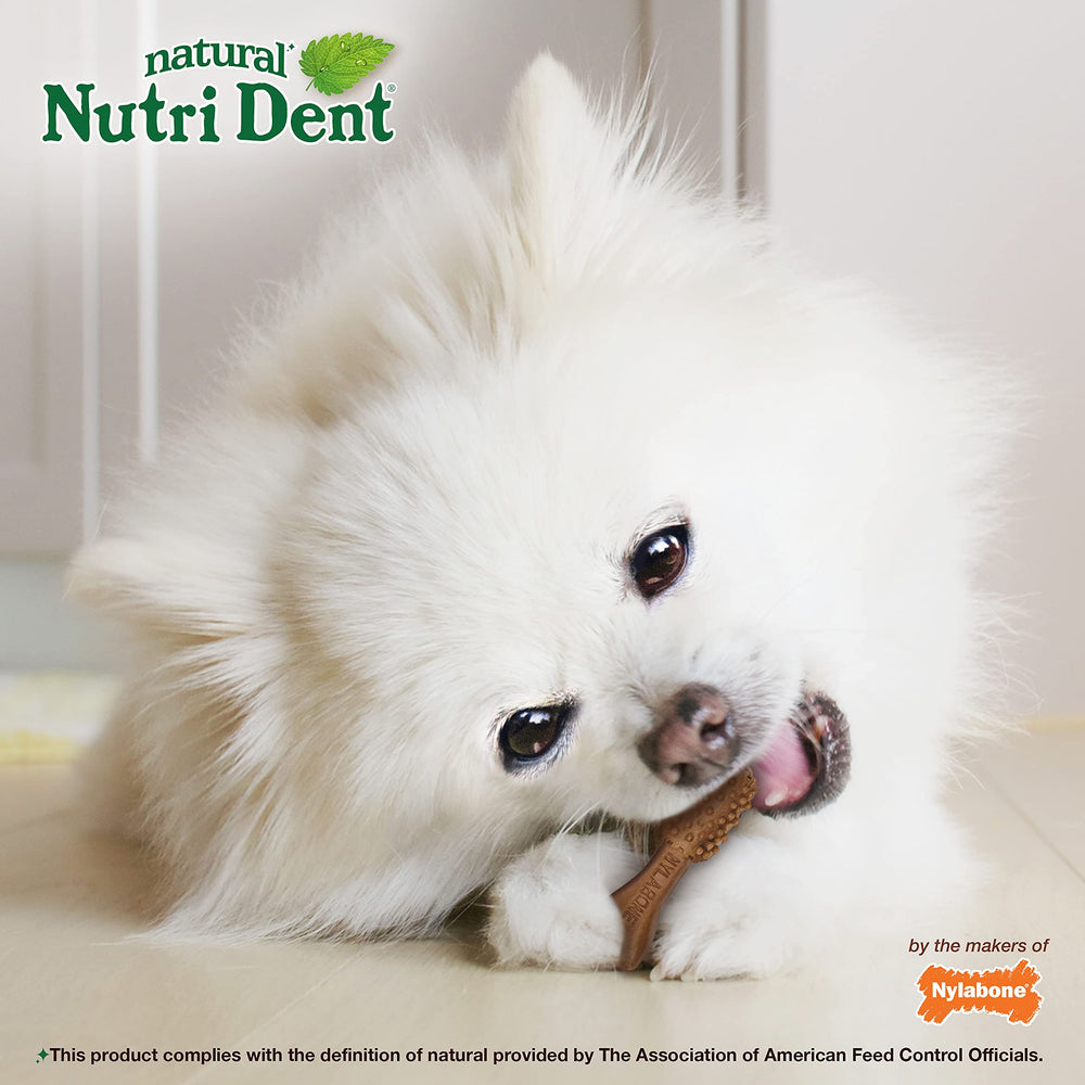 Nylabone Nutri Dent dental chew shown from a side angle.
