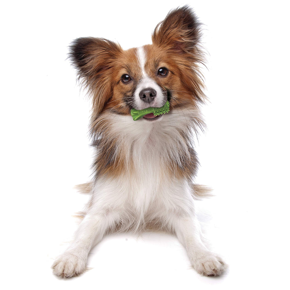 Nylabone Nutri Dent natural dental chews shown during a dog’s treat time.