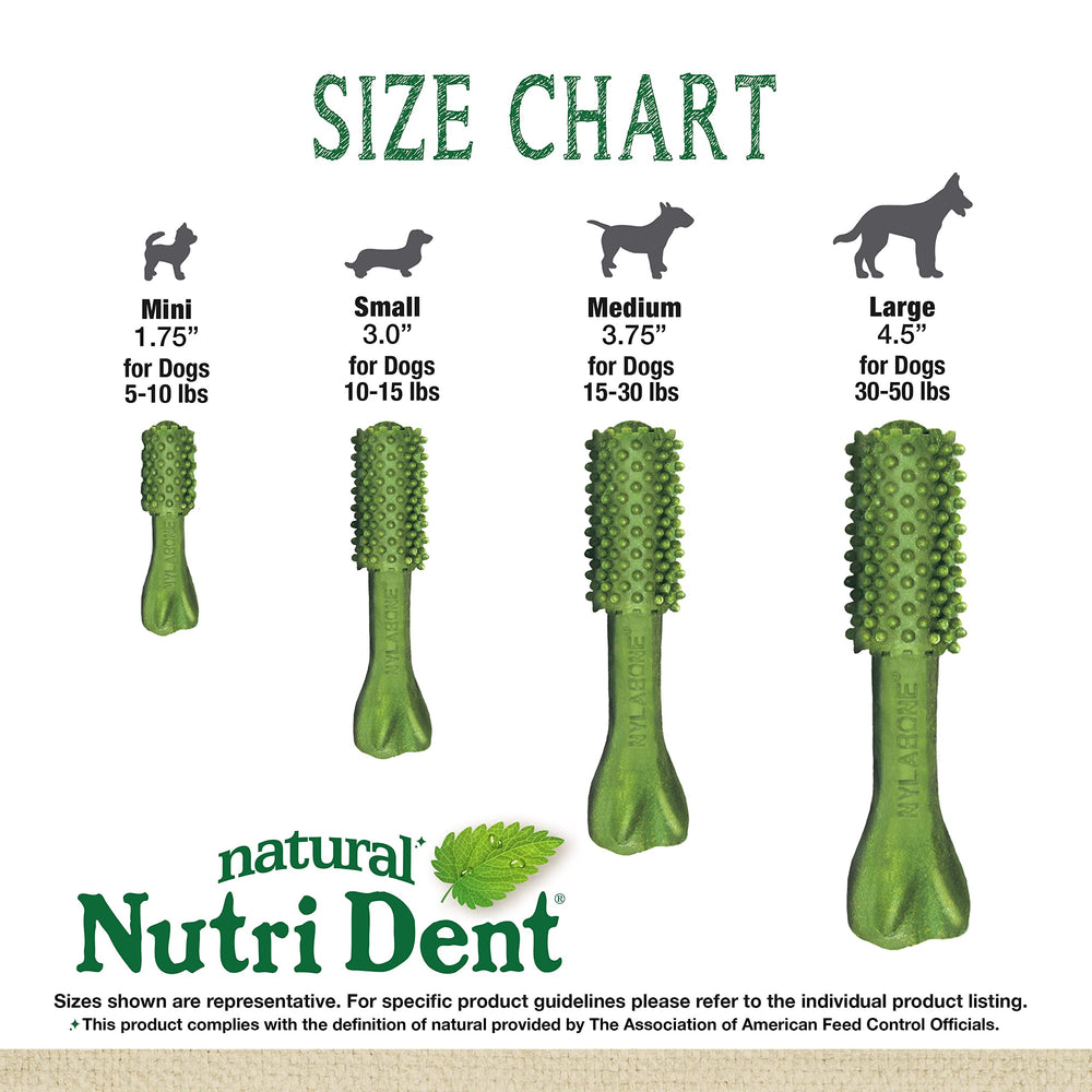 Several Nylabone Nutri Dent natural dental chews shown together.