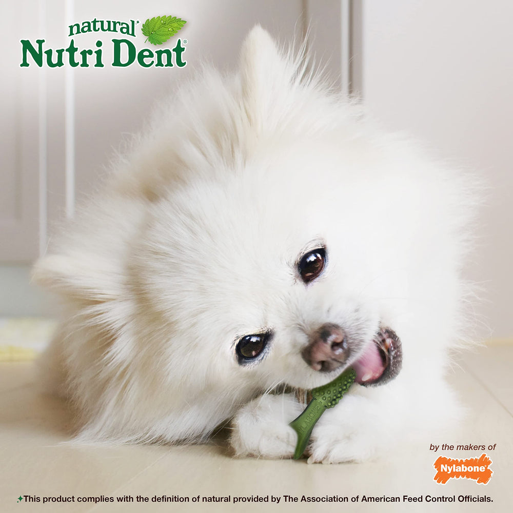 The nubbed surface of a Nylabone Nutri Dent natural dental chew.