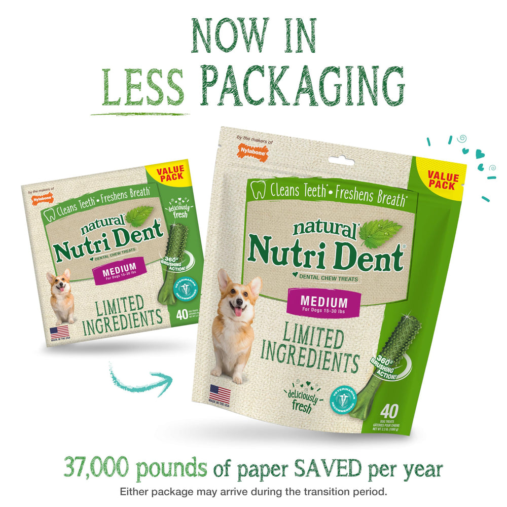 Nylabone Nutri Dent dental chew shown from the front.
